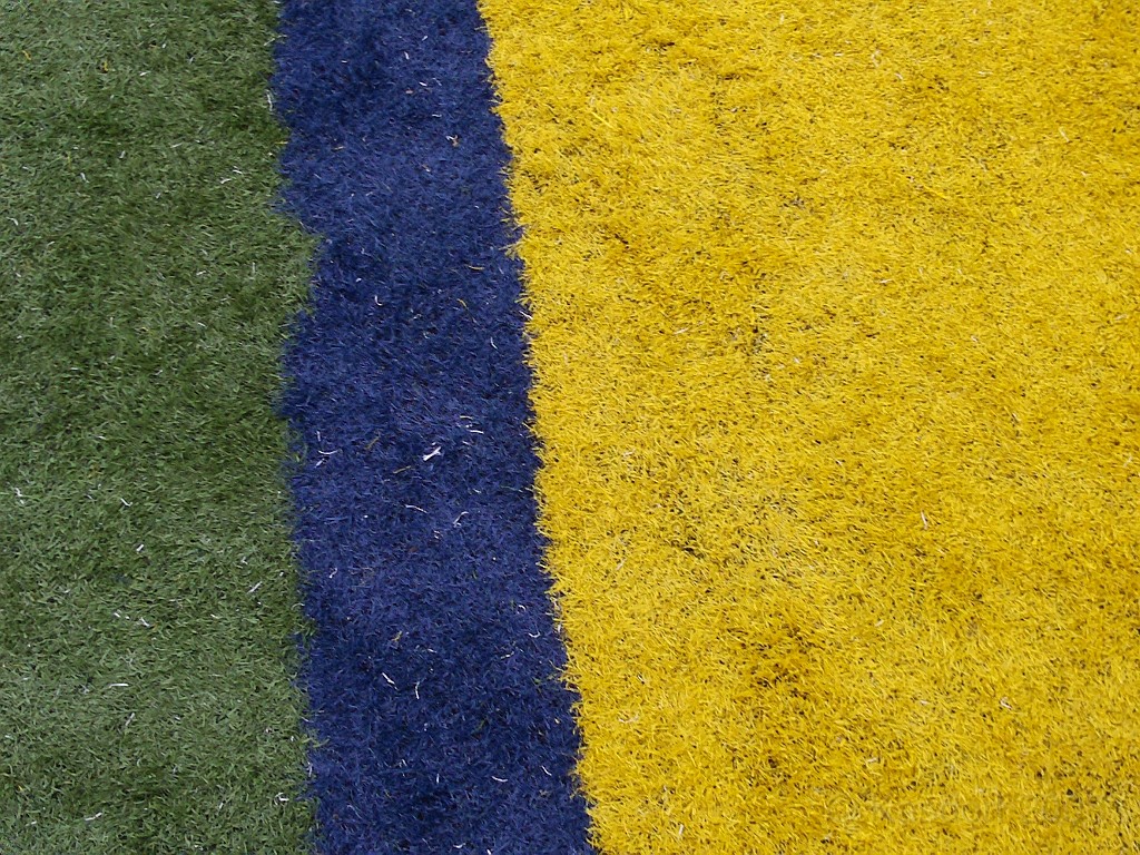 BHGH 2009 0456.jpg - The Big House Big Heat 5 and 10 K race. October 4, 2009 run in Ann Arbor Michigan finishes on the 50 yard line of the University of Michigan stadium.